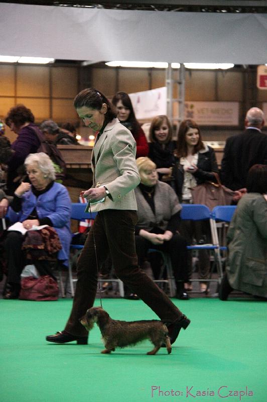 Crufts2011_2 1344.jpg